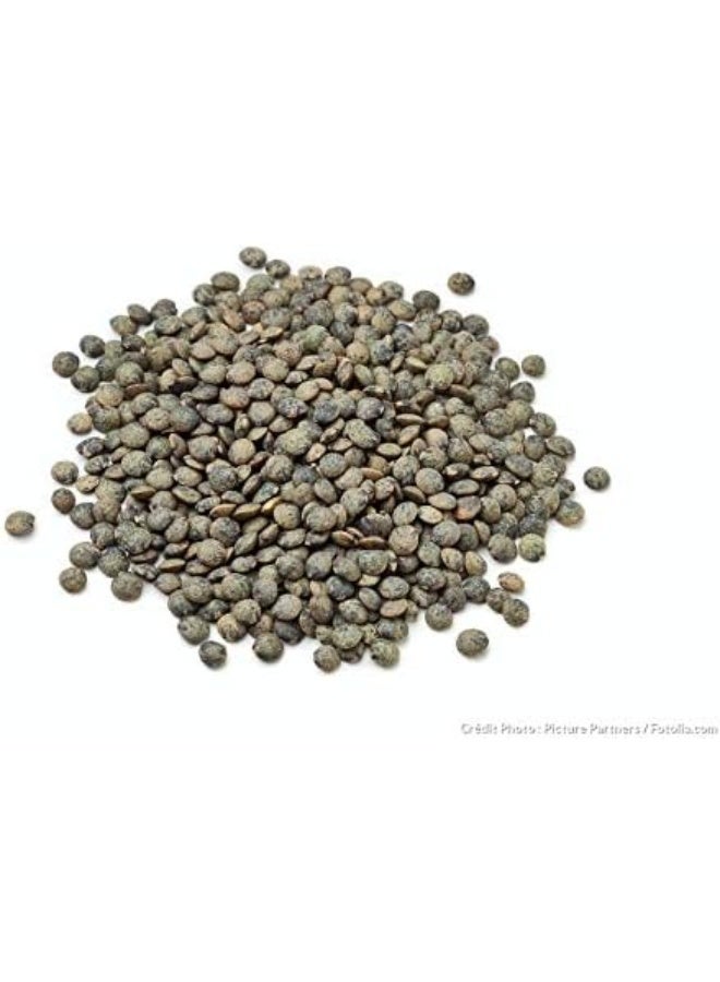 0 Sabarot Le Puy Green Lentils A.O.P. 500g - Image 2